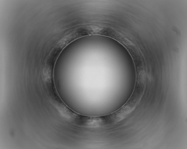 X0000112400274200908141346