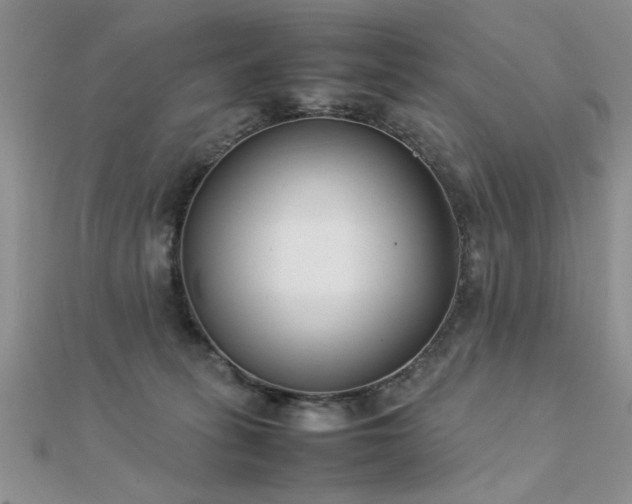 X0000112400275200908141346