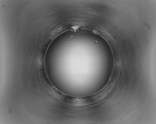 X0000112400277200908141346