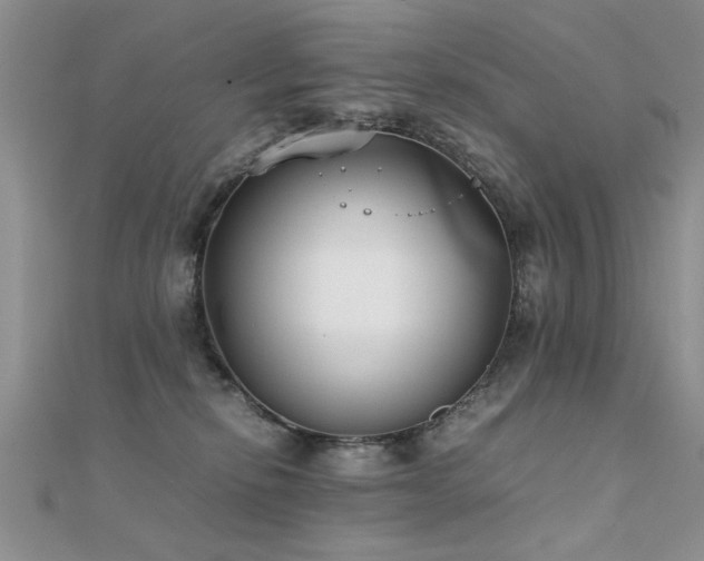 X0000112400278200908141346