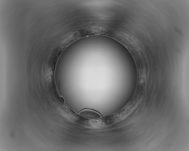X0000112400279200908141346