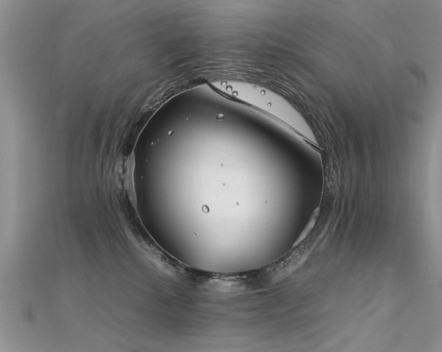 X0000112400280200908141346