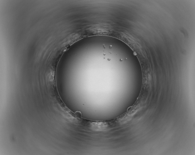 X0000112400281200908141346