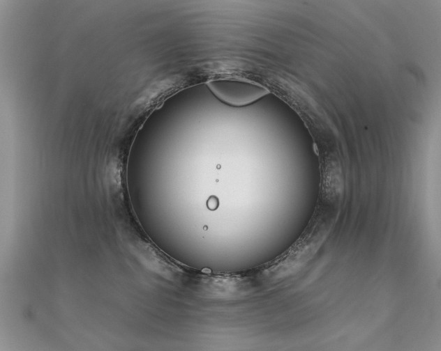 X0000112400282200908141346