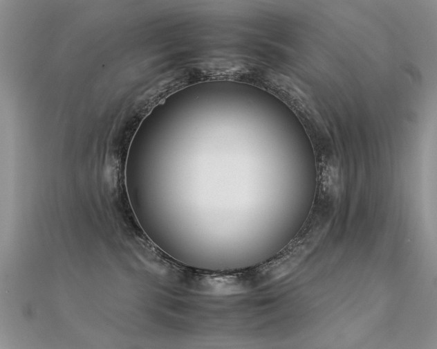 X0000112400283200908141346