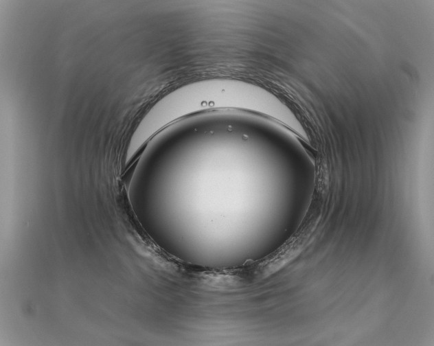 X0000112400284200908141346