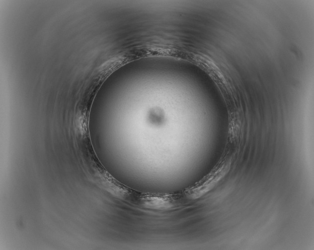 X0000112400285200908141346