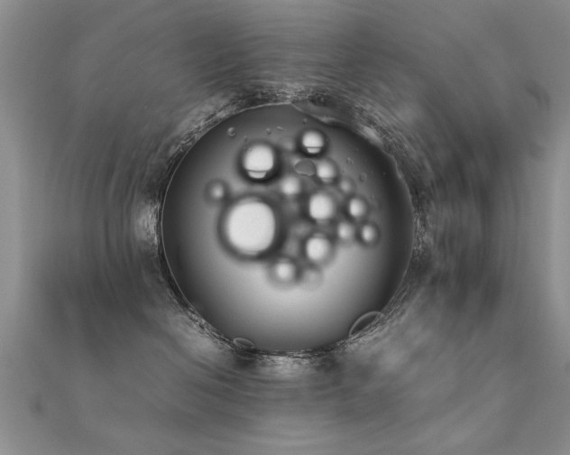 X0000112400286200908141346