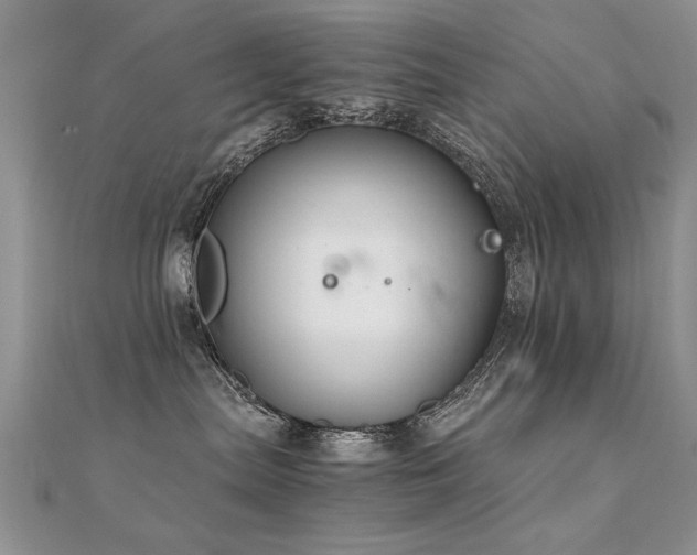 X0000112400287200908141346