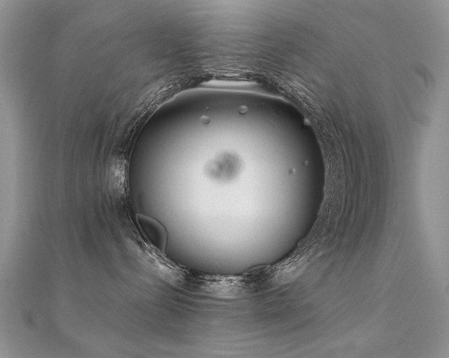 X0000112400288200908141346