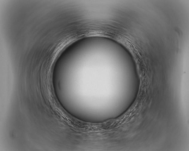 X0000112400289200908141345