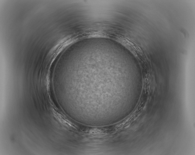 X0000112400290200908141345
