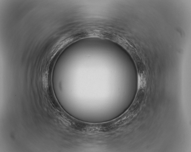 X0000112400291200908141345