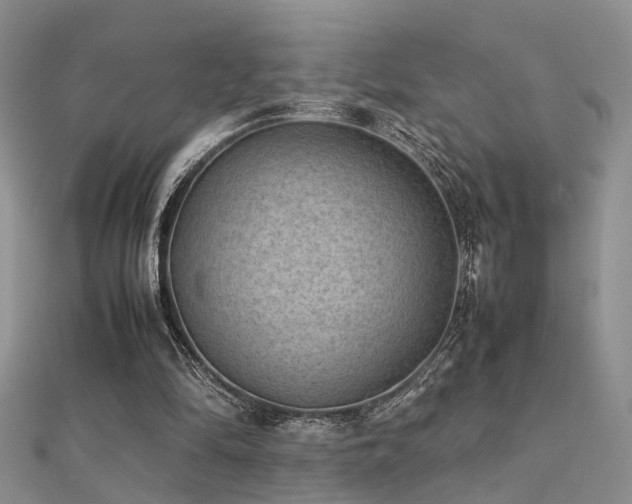 X0000112400294200908141345