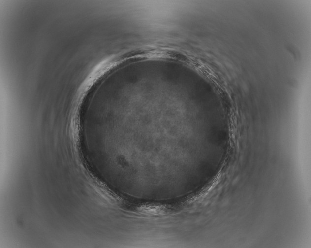 X0000112400295200908141345