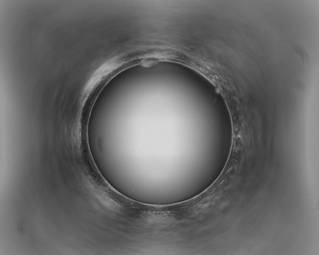 X0000112400296200908141345
