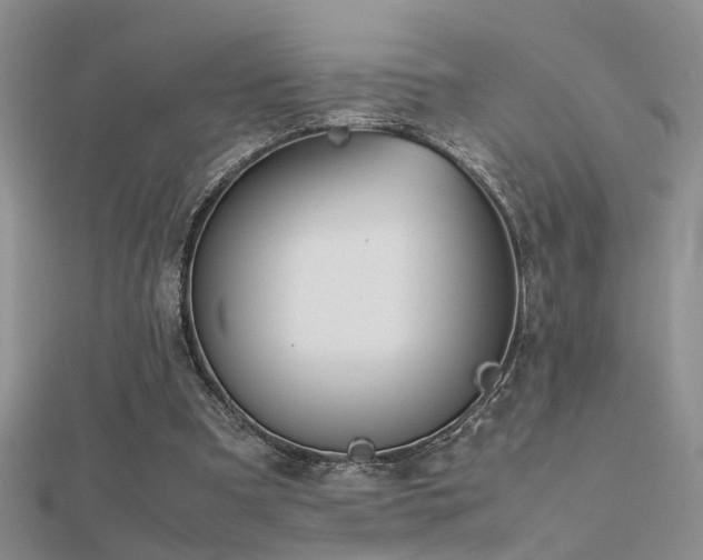 X0000112400297200908141345