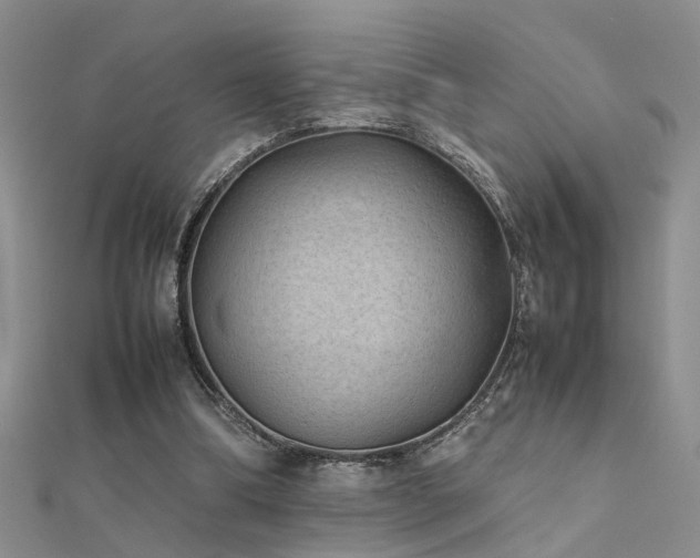 X0000112400298200908141345