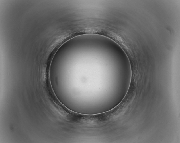X0000112400299200908141345
