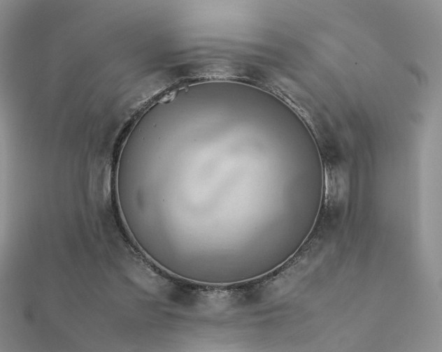 X0000112400301200908141345