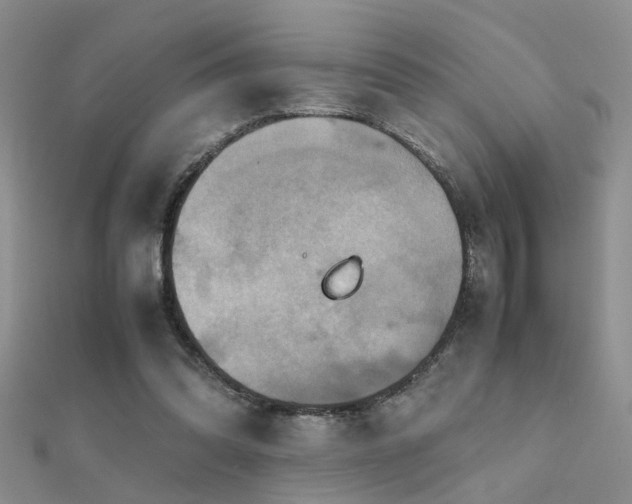 X0000112400302200908141345