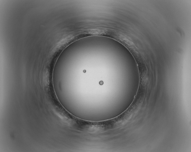 X0000112400303200908141345