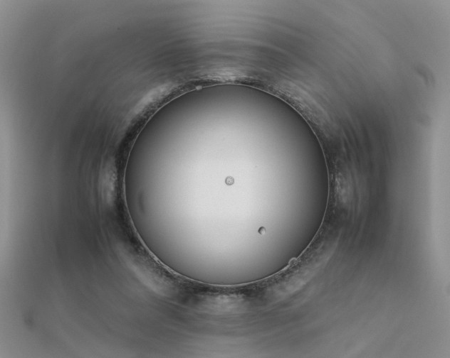 X0000112400304200908141345