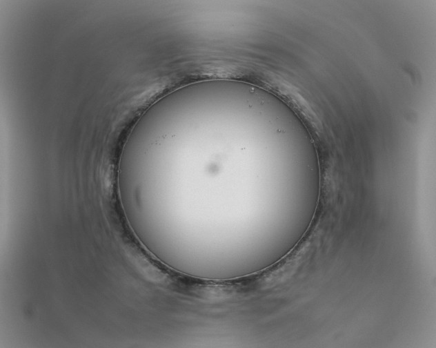 X0000112400305200908141345