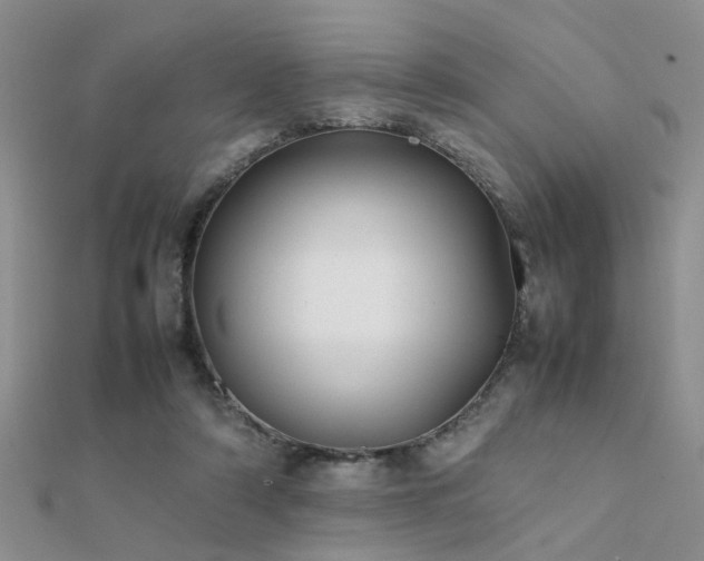 X0000112400306200908141345