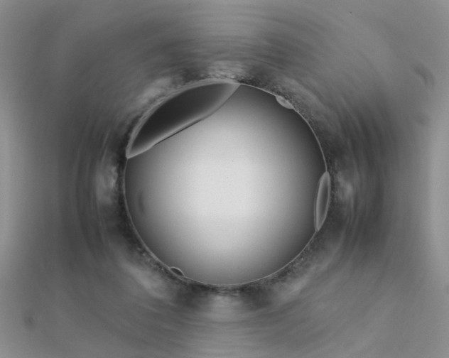 X0000112400308200908141345