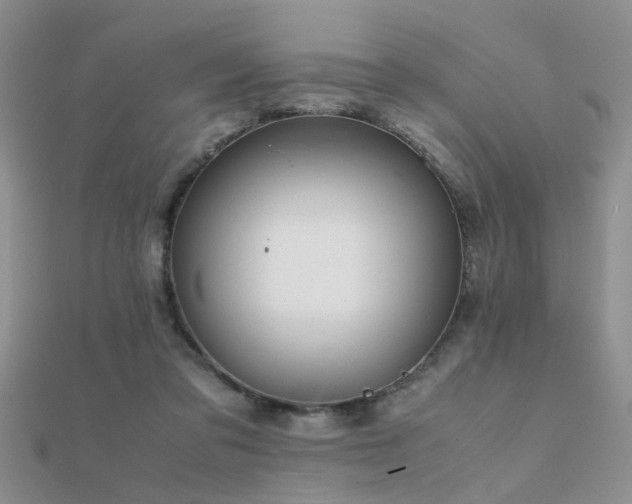 X0000112400309200908141345
