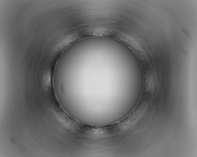 X0000112400310200908141345
