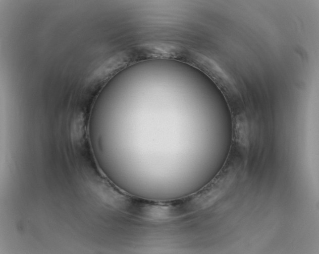 X0000112400318200908141345