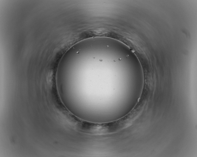 X0000112400319200908141345