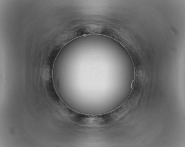 X0000112400323200908141345