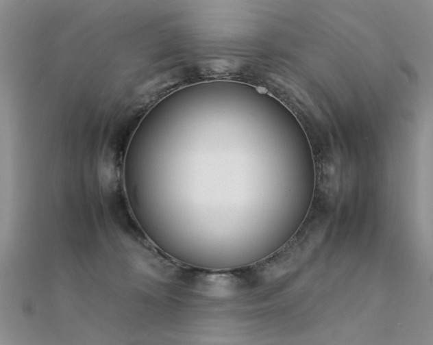 X0000112400324200908141345