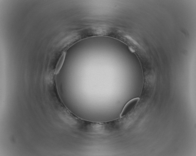 X0000112400325200908141345