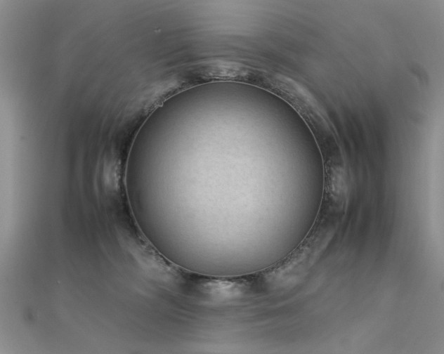 X0000112400326200908141345