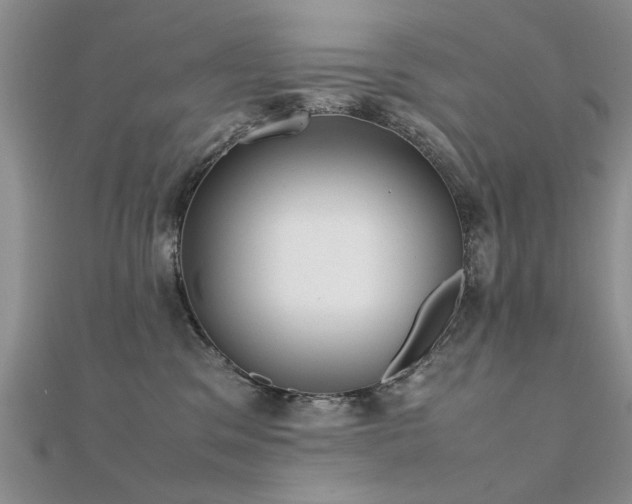 X0000112400329200908141345