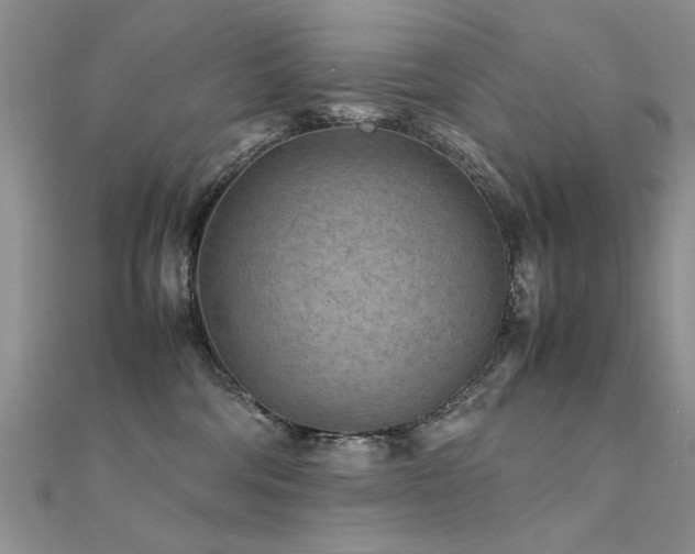 X0000112400330200908141345