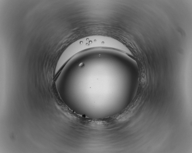 X0000112400332200908141345