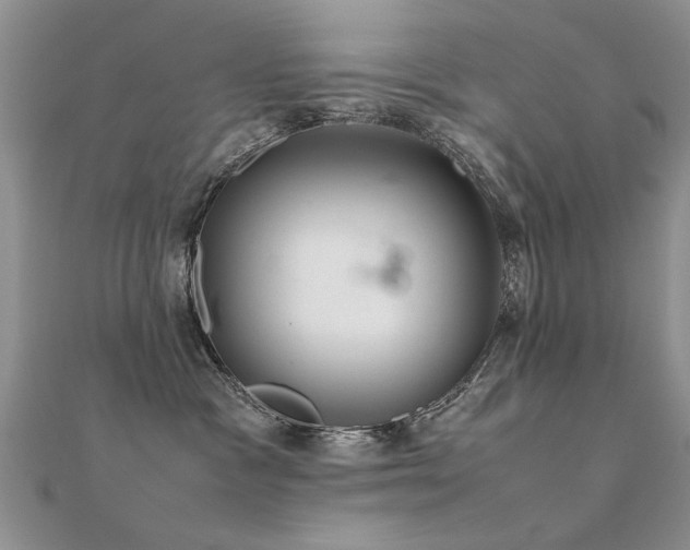 X0000112400333200908141345