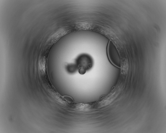 X0000112400334200908141345
