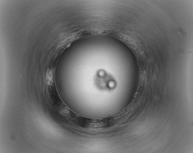 X0000112400335200908141345