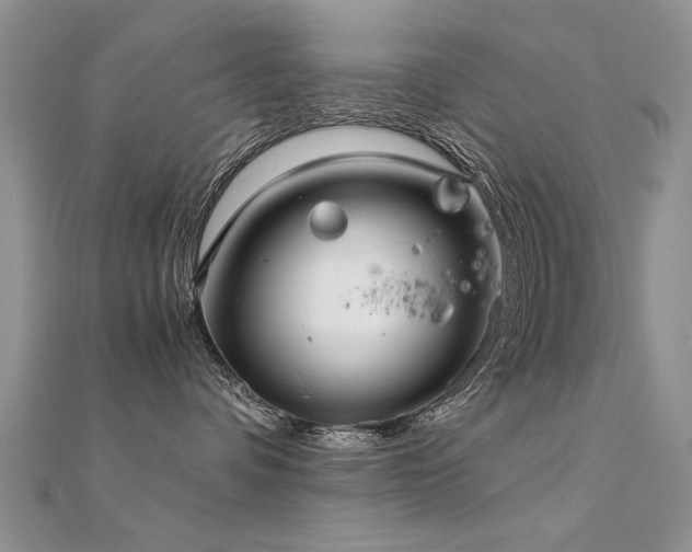 X0000112400336200908141345