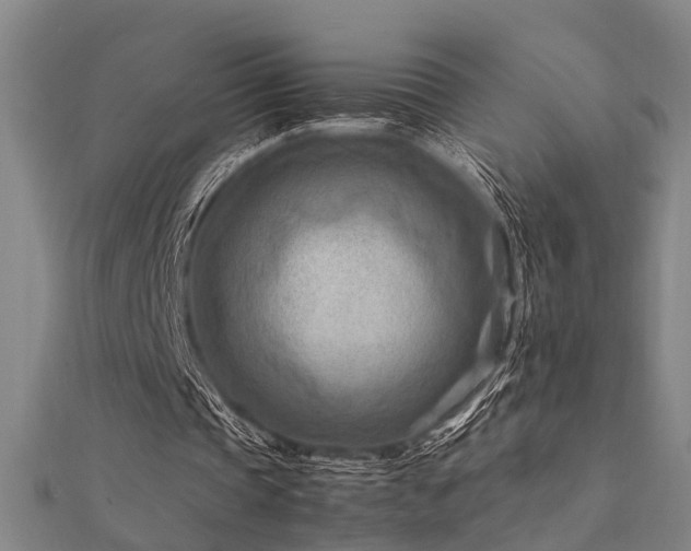X0000112400337200908141344