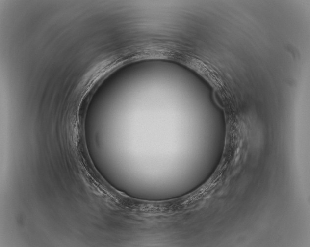 X0000112400338200908141344