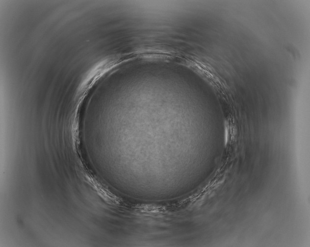 X0000112400339200908141344