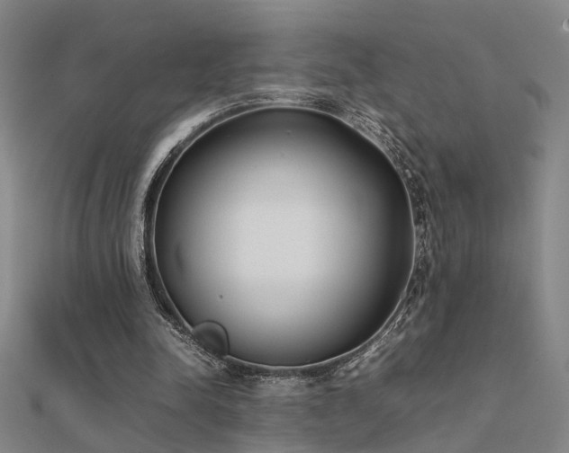 X0000112400342200908141344