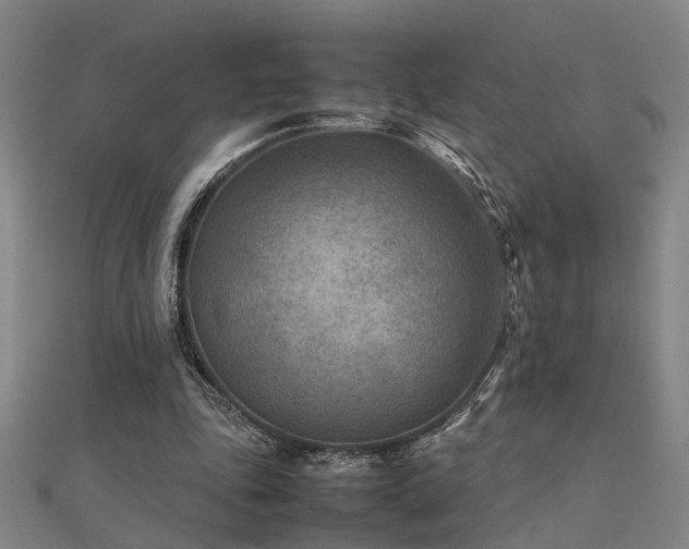 X0000112400343200908141344
